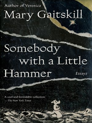 cover image of Somebody with a Little Hammer